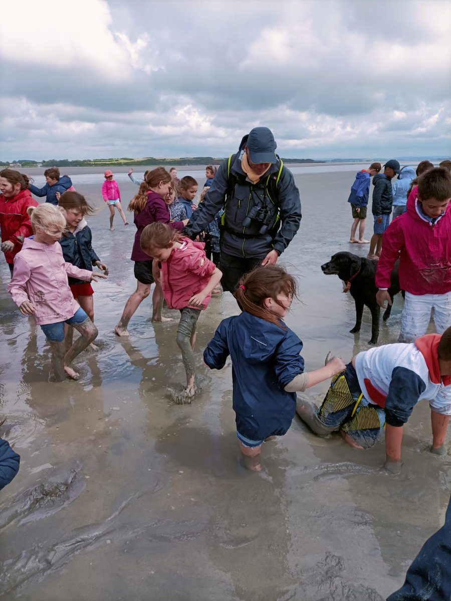 EcoleSources's tweet photo. Classe découverte du littoral et du Mont St Michel pour les élèves de CP/CE1, CE et CE2.
Premier jour: balade dans les sables mouvants avec un guide et découverte de la laisse de mer au départ de Vains... https://t.co/wrQ9h2uVWs