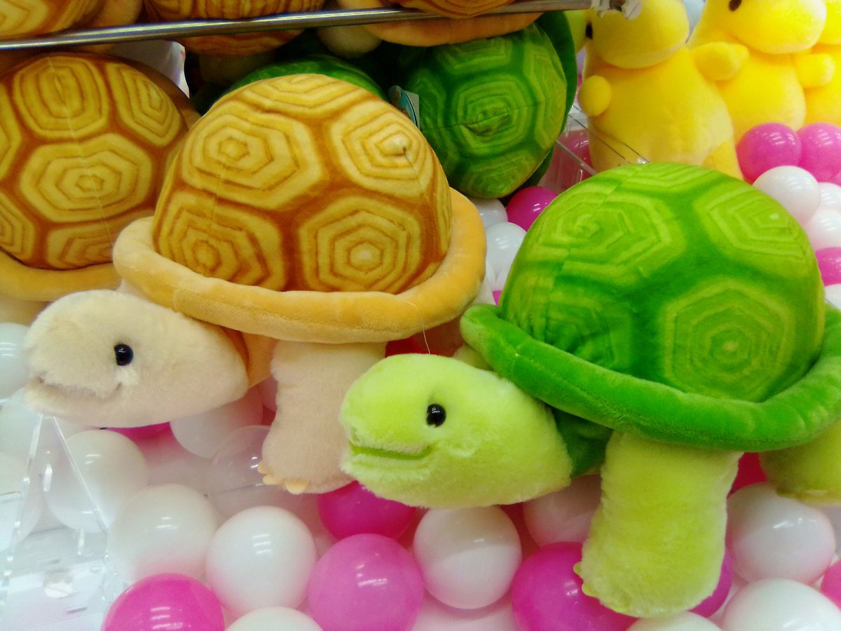 緑色のカメのぬいぐるみ 新品 タグ付き ぷてぃまりん！ぱすてる 緑色のカメ型ぬいぐるみ