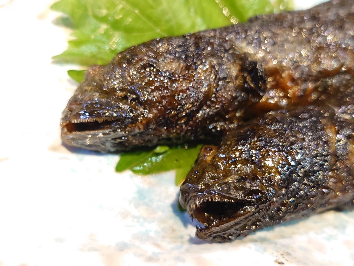 みんなの ムツゴロウ 刺身 口コミ 評判 食べたいランチ 夜ごはんがきっと見つかる ナウティスイーツ みんなの ムツゴロウ 刺身 口コミ 評判 食べたいランチ 夜ごはんがきっと見つかる ナウティスイーツ