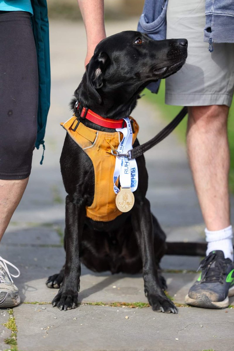 Craig Jones (@jonesyblog) on Twitter photo Great day on Saturday for the #WalkOfLife with <a href="/sammyj68/">sammyj68</a> and Hector. It was challenging but enjoyable; thank you so much <a href="/ruhxcharity/">RUHX Charity</a> for the organisation and support! <a href="/RUHBath/">RUH Bath 🏥</a> <a href="/RUHStaff/">RUH Staff</a> @CaraCBCEO Great day on Saturday for the #WalkOfLife with <a href="/sammyj68/">sammyj68</a> and Hector. It was challenging but enjoyable; thank you so much <a href="/ruhxcharity/">RUHX Charity</a> for the organisation and support! <a href="/RUHBath/">RUH Bath 🏥</a> <a href="/RUHStaff/">RUH Staff</a> @CaraCBCEO