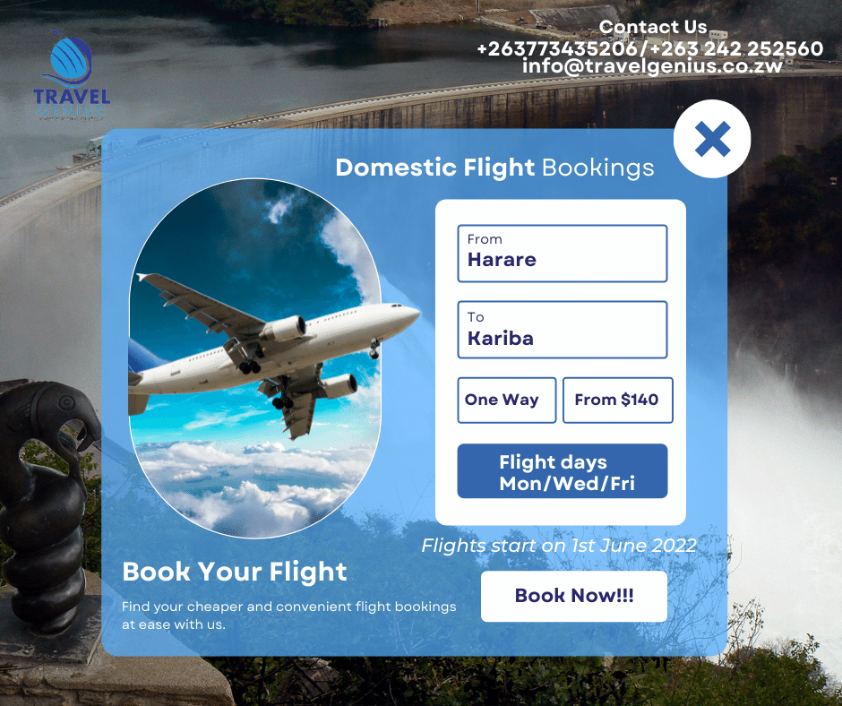 TravelGenius3's tweet photo. As from 1st of June 2022. You can book your one way #flights with us from #Harare to #Kariba from as little as $140USD.
Simply DM us for more info. https://t.co/nKuJ9DnMmw