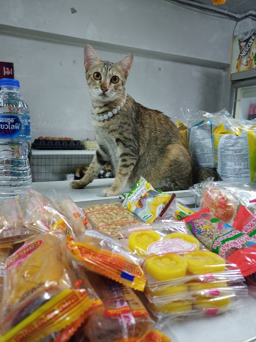 MaprangWaaan's tweet photo. รับอะไรดีจ๊ะ #นู๋มะปรางสายแฟ https://t.co/TYE6vNOfMm