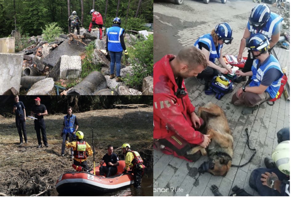 vdp_nathalie's tweet photo. 🆕🐴👀le #BW pourra désormais faire appel à des #veterinairesurgentistes #VUSC en cas de catastrophe 🆘🦌🐄🦮, une logistique et une expertise spécifique qui sera d’une grande aide pour les acteurs de terrain 🤝🧑‍🚒👩‍✈️👷‍♂️🙌 @gillesmahieu @Centre_Crise_BW @Marc_Lerchs @ZoneDeSecoursBW https://t.co/jOauODy9qF