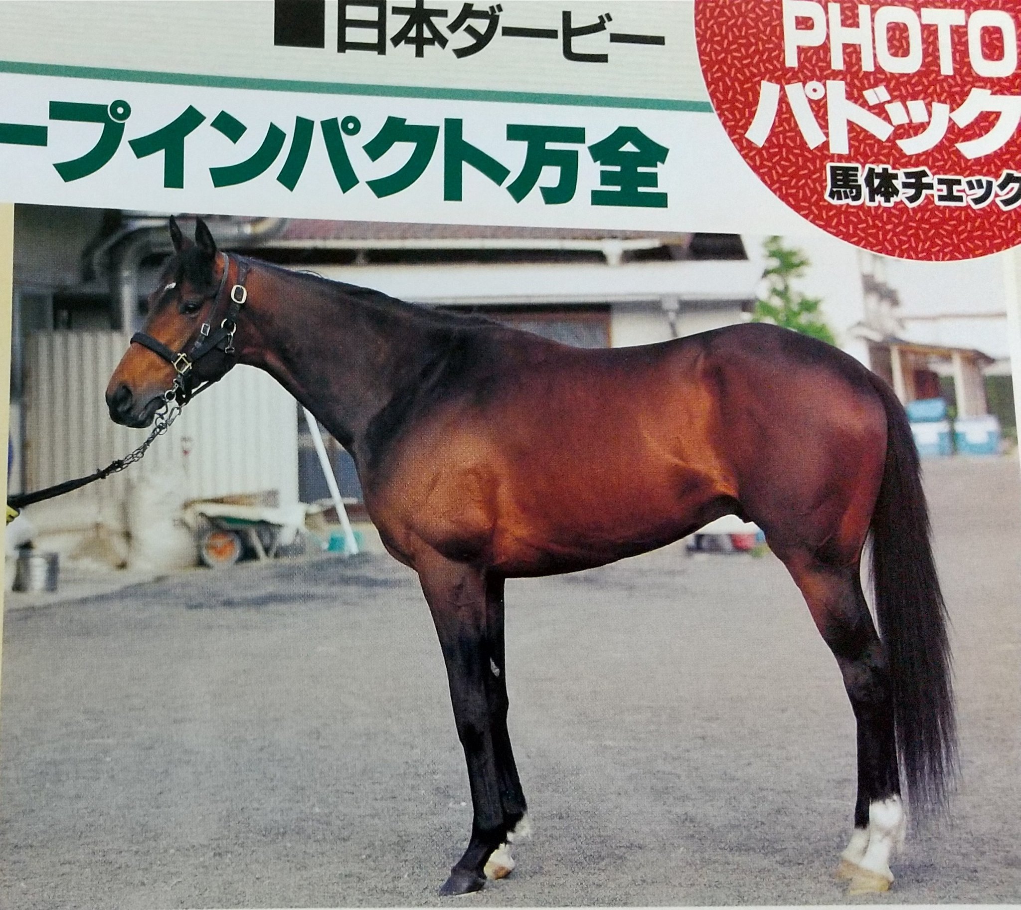 馬手箱　当選品　ディープインパクトファイルブック 馬手箱 当選品 ディープインパクトファイルブック