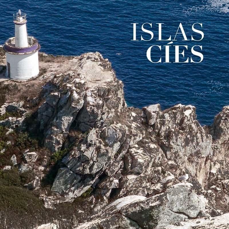 Descubriendo Rias Baixas, el orgen de nuestros vinos.

¿Qué tal un paseo por Las Islas Cíes?

Levanta la mano si ya las conoces 🙋‍♀️

#MardeFrades #Albariño #DoriasBaixas #Galicia #RiasBaixas #IslasCies