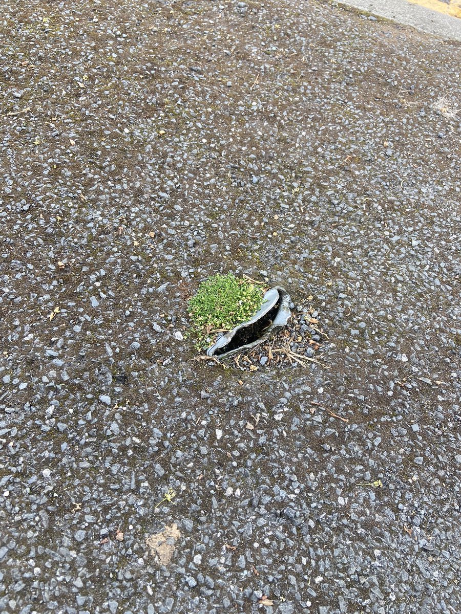 montonmaxwell's tweet photo. @SalfordCCHelp There is a bit of a post left in the ground that looks like someone could easily trip on, it’s on the pavement at the corner of Park Rd/Pine Grove Monton. https://t.co/Idm5nlJphN