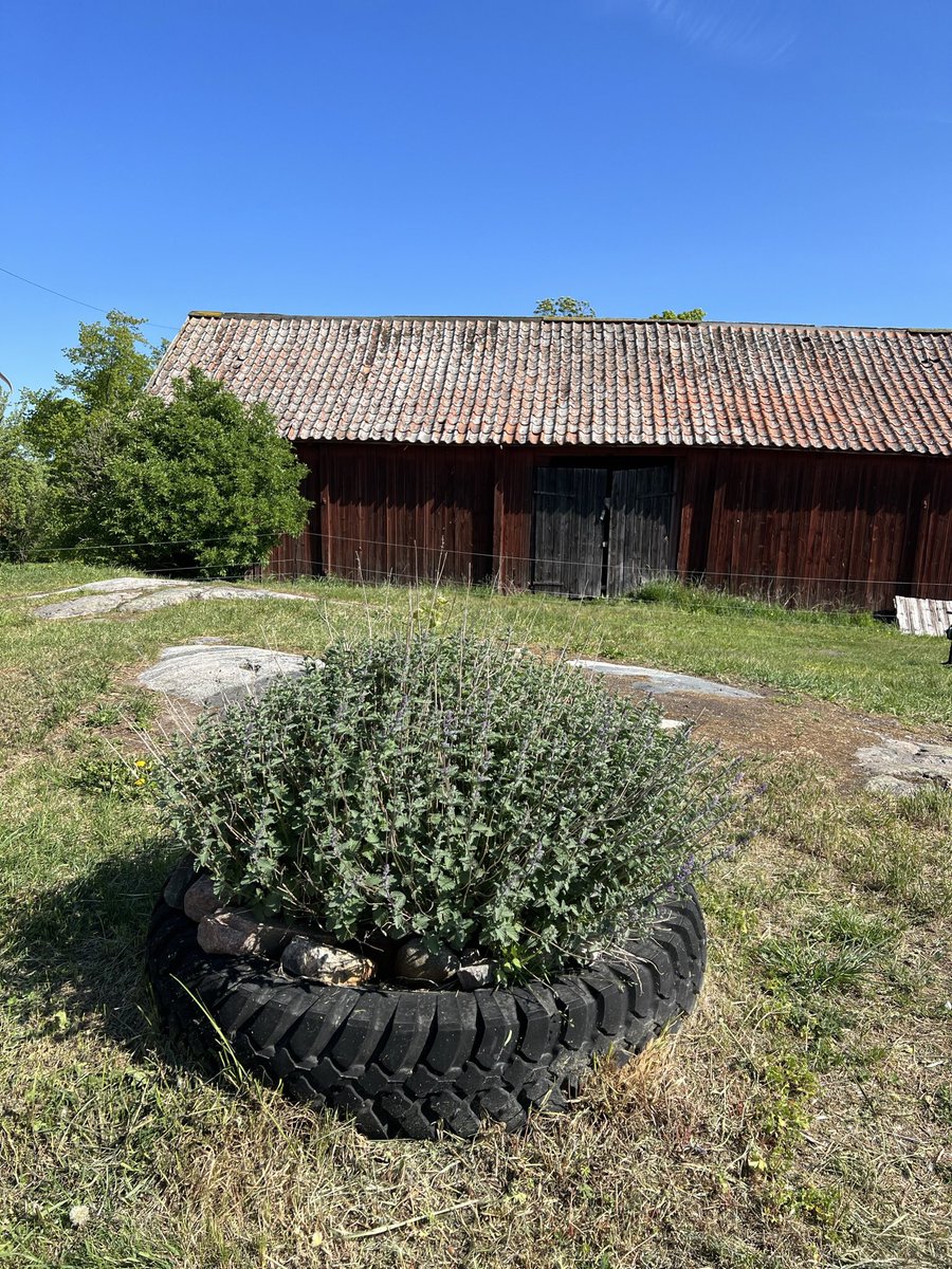 Idag är det Ekologiska Framtidsdagen på Lovö Prästgård! 🍀 I samarbete mellan oss, <a href="/OrganicSweden/">Organic Sweden</a> och <a href="/Ekolantbrukarna/">Ekolantbrukarna</a> Programmet börjar kl 13, tar del digitalt här:  youtu.be/dnNjTttRhSM