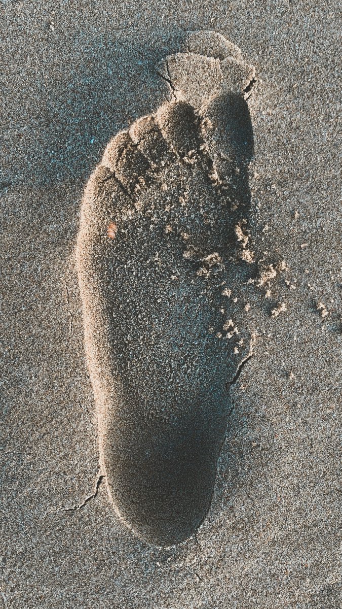My footprint in the sand. #beach #sand #foto #photography #nature #foot

pexels.com/photo/sea-beac…