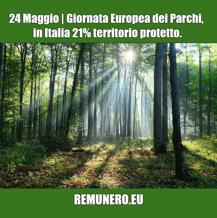 🌳GIORNATA EUROPEA DEI PARCHI: in Italia 21% territorio protetto.🌳remunero.eu