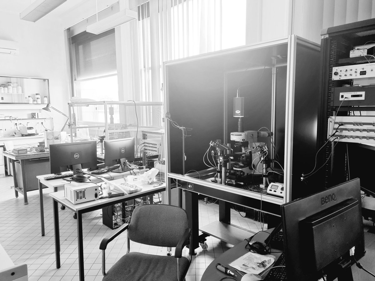 EleonoreHardy_'s tweet photo. New lab, new office, new job
#postdoc #SPPIN @Univ_Paris 😄 https://t.co/ovT6B3ZR0a