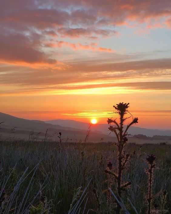 DavyTolmie's tweet photo. Good Morning from Scotland 🏴󠁧󠁢󠁳󠁣󠁴󠁿Thistle Sunrise, Scottish Borders 📸jedsheriff_photos_scotland on Instagram https://t.co/djw0uAX7mB https://t.co/F34Ia8SOhn