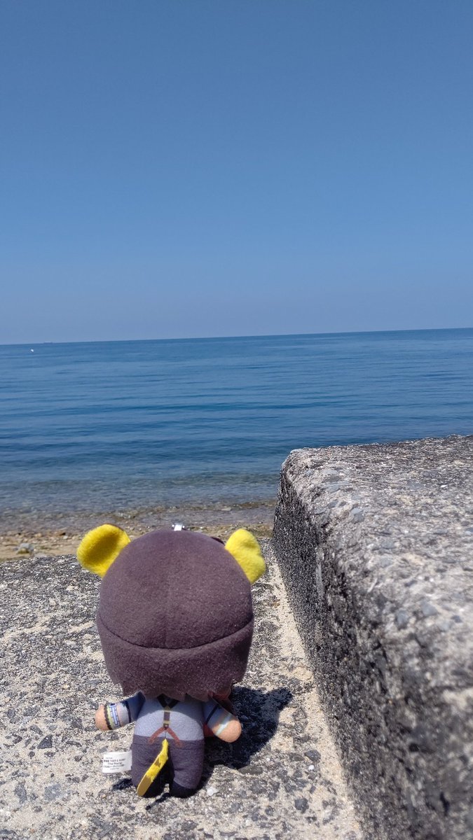 🐯うーみーは
おーなみー
あおいにゃーみー
🌊