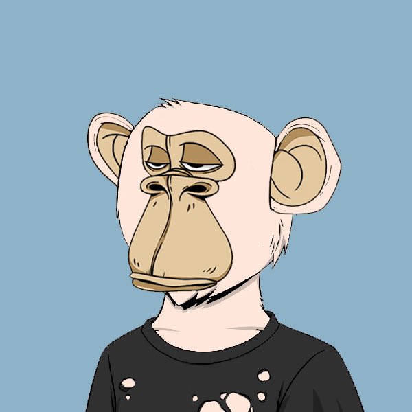 Really Not Okay Bears tweet media