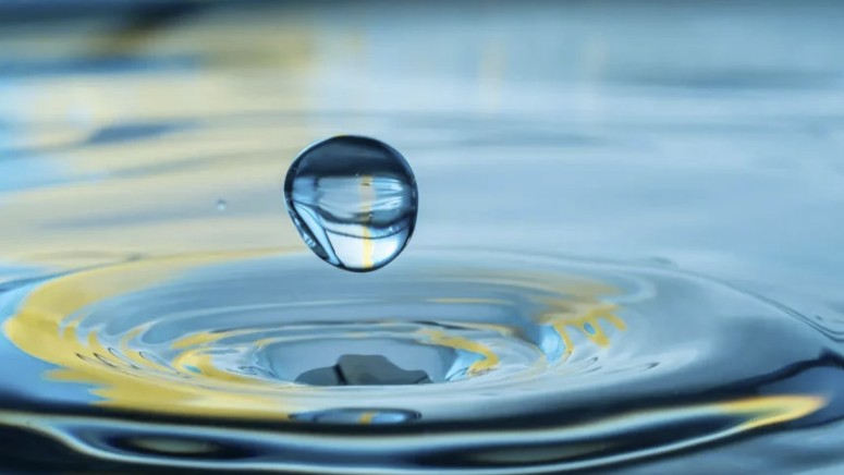 World Water Week tweet media