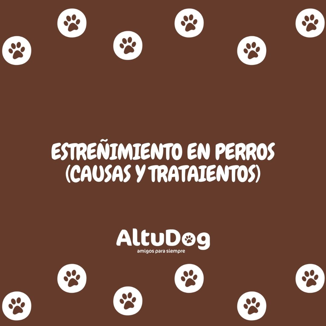 Altudog's tweet image. El estreñimiento en perros🐶 es un problema frecuente y no demasiado grave. Consiste en una dificultad para realizar las deposiciones que podemos solucionar con la alimentación adecuada y/o un cambio de hábitos.💚
.
#estreñimento #causas #tratamientos  #alimentaciónnatural