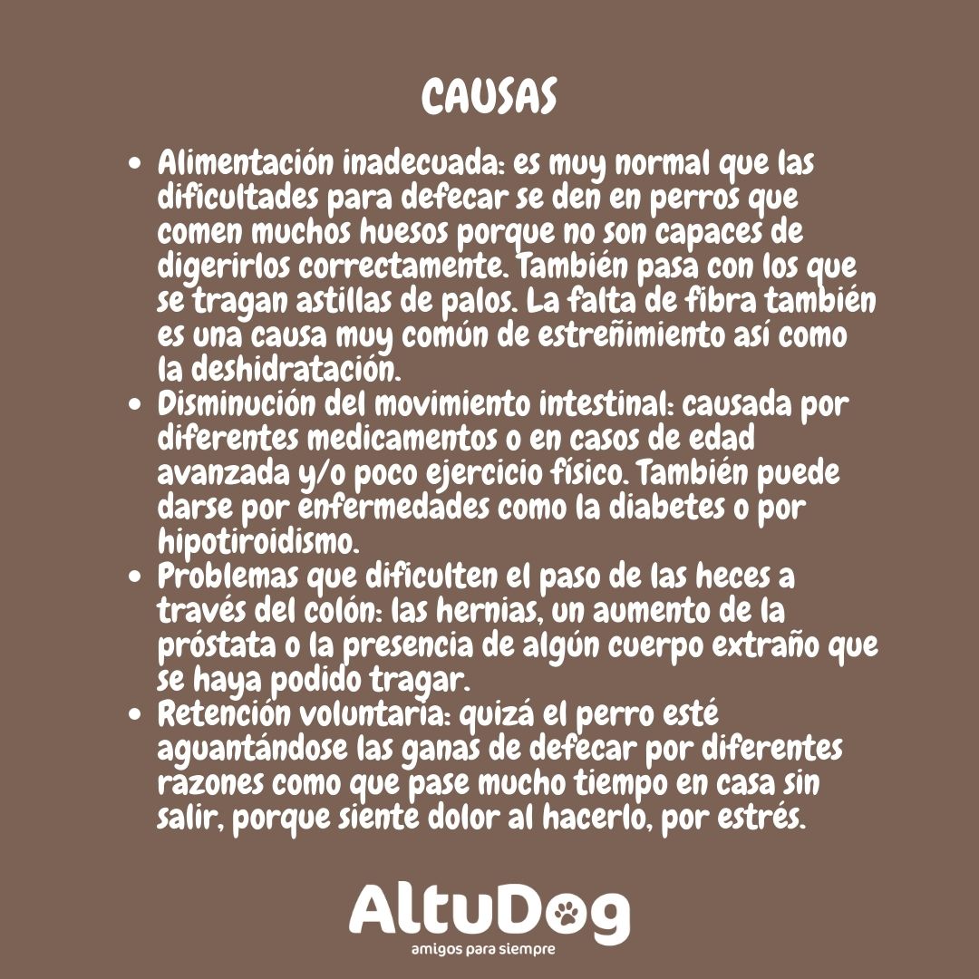 Altudog's tweet image. El estreñimiento en perros🐶 es un problema frecuente y no demasiado grave. Consiste en una dificultad para realizar las deposiciones que podemos solucionar con la alimentación adecuada y/o un cambio de hábitos.💚
.
#estreñimento #causas #tratamientos  #alimentaciónnatural