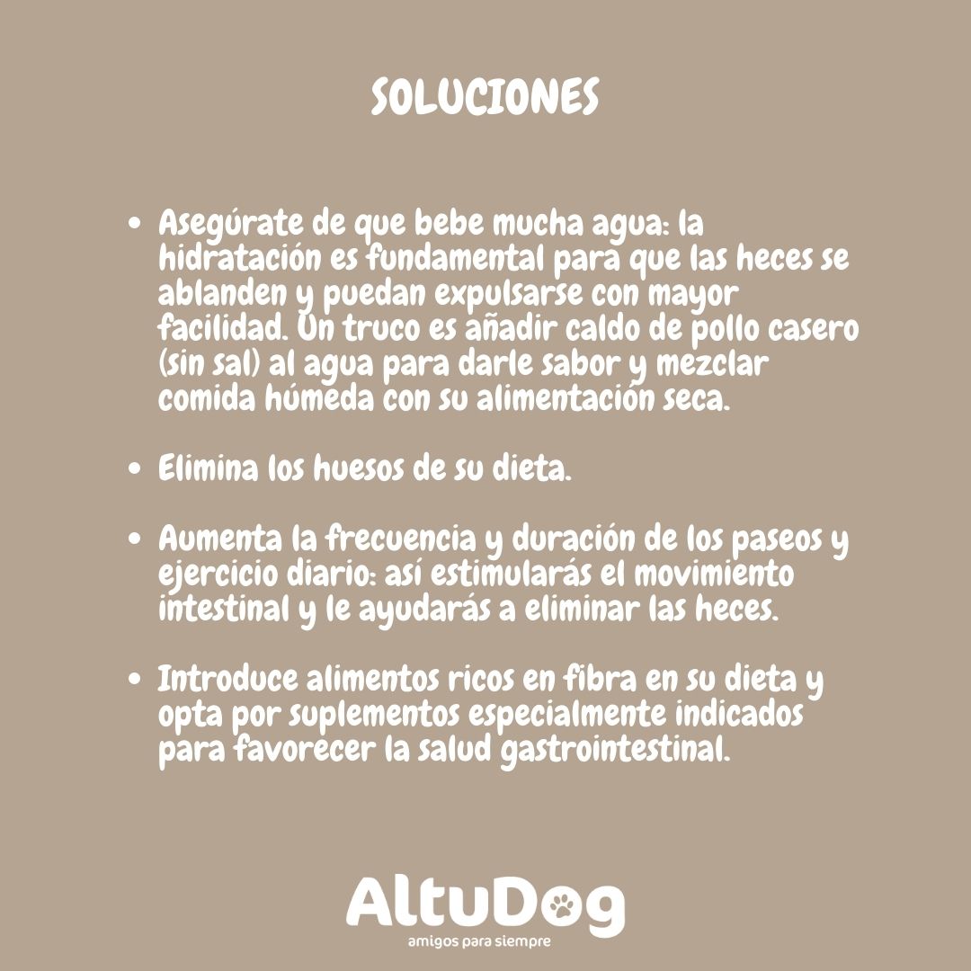 Altudog's tweet image. El estreñimiento en perros🐶 es un problema frecuente y no demasiado grave. Consiste en una dificultad para realizar las deposiciones que podemos solucionar con la alimentación adecuada y/o un cambio de hábitos.💚
.
#estreñimento #causas #tratamientos  #alimentaciónnatural