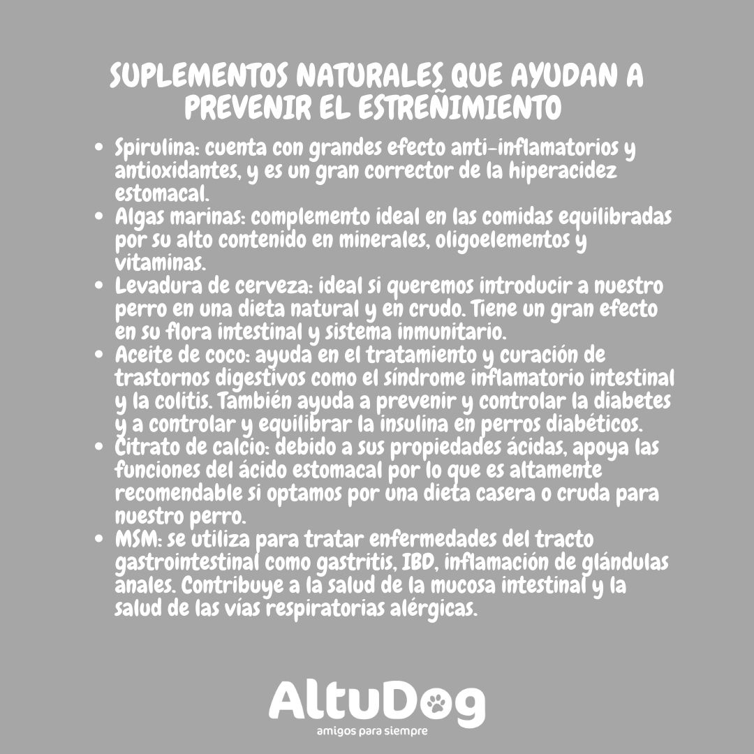 Altudog's tweet image. El estreñimiento en perros🐶 es un problema frecuente y no demasiado grave. Consiste en una dificultad para realizar las deposiciones que podemos solucionar con la alimentación adecuada y/o un cambio de hábitos.💚
.
#estreñimento #causas #tratamientos  #alimentaciónnatural