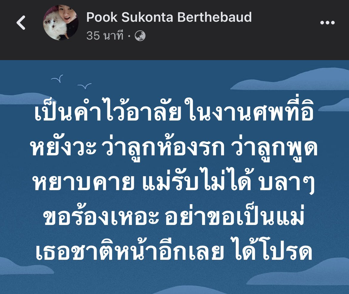 🕷️ tweet media