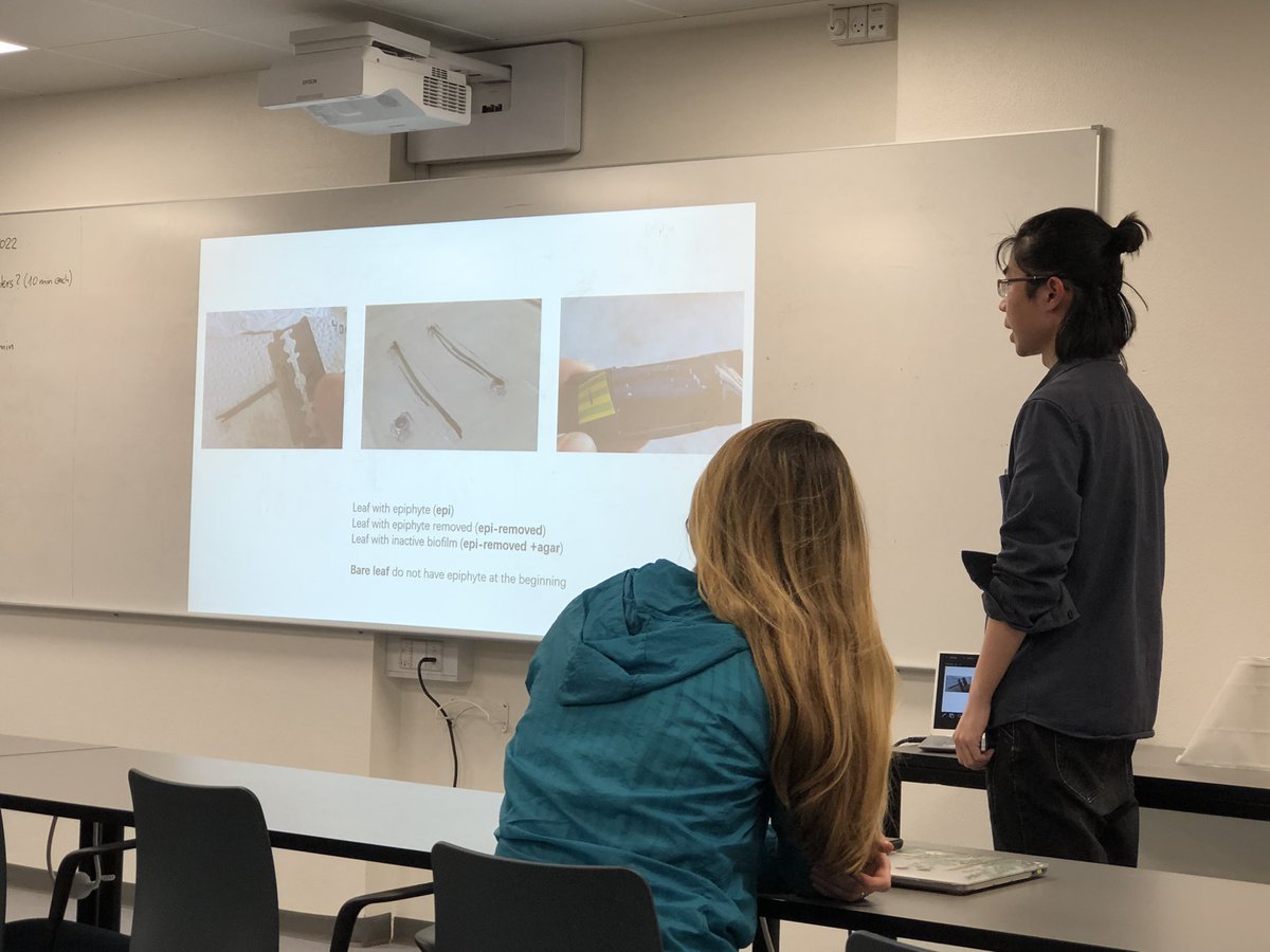 KE_Brodersen's tweet image. #microsensor2022 Qingfeng Zhang (@Qingfeng2434746) presenting his work on biogeochemical processes and chemical conditions within seagrass leaf epiphytic biofilms @seas_green 👉Stay tuned for the publication of his very interesting results. #seagrass #phyllosphere #biofilm