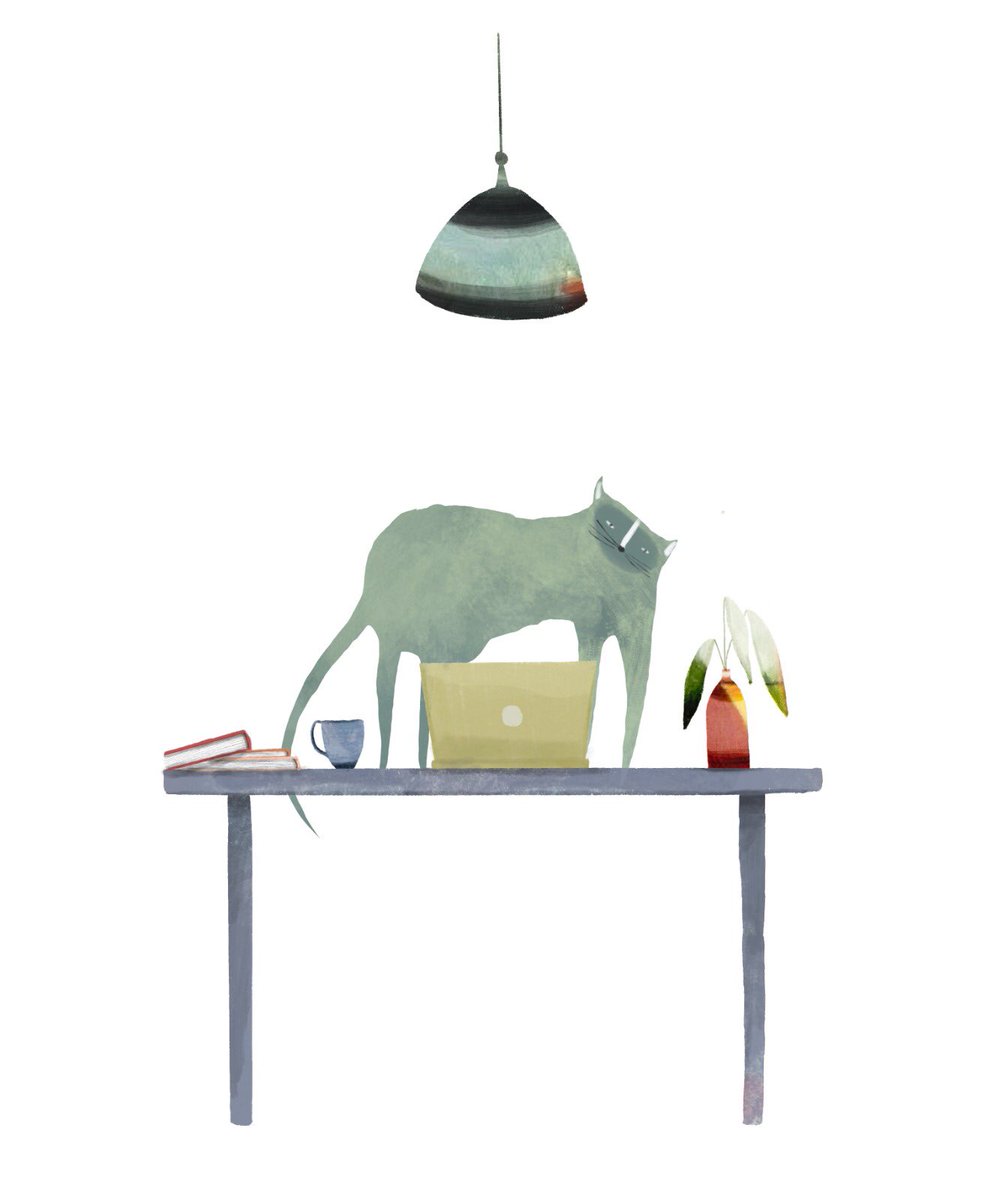 txgorria tweet media