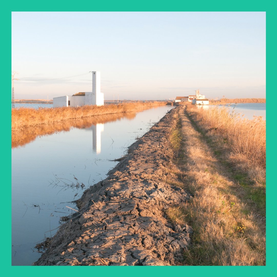 GVAivaj's tweet photo. 🌳 Torna la campanya de sensibilització mediambiental #HortaNeta organitzada per @jovesnet
Dissabte 28 de maig gaudeix d’una ruta botànica pel #ParcNatural de l'#Albufera i dunes costaneres.
⌚ De 9 a 15 h
https://t.co/zBWWv5SPud
#DiaEuropeodelosParquesNaturales #IVAJ https://t.co/awBohLB4vU