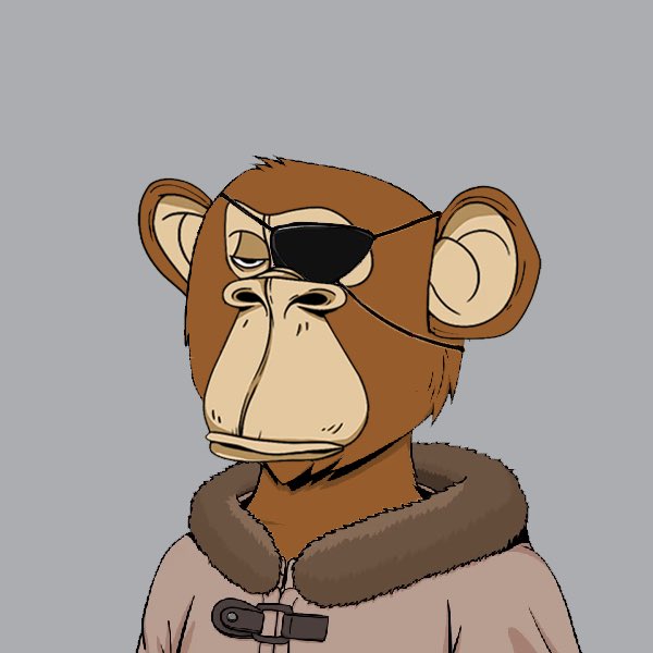 Really Not Okay Bears tweet media