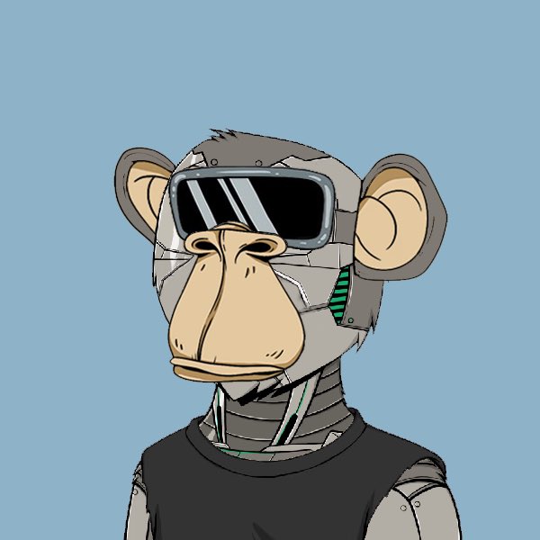 Really Not Okay Bears tweet media