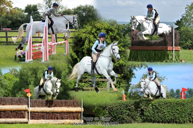 We are delighted to share that over the weekend Poppy, L6 and her horse Ziggy came second in the 90cm Individual Class at the Inter-Schools Event; attended by competitors across the South West. Congratulations Poppy and Ziggy! 👏🌟 #WritingherSGStory