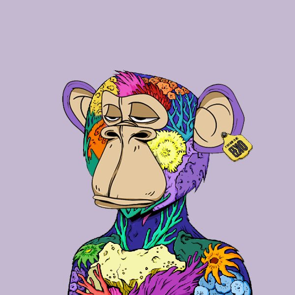 Really Not Okay Bears tweet media