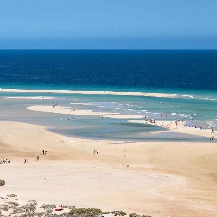 FuerteTimes's tweet photo. Voted as one of the Top 10 Beaches in the world by the @tripadvisor Traveller's Choice Awards 2022, this pristine 9 km stretch of golden sand and crystal clear waters is like a fairytale on a far off planet.

#fuerteventura #beach #articale https://t.co/PvwDuGRCVd