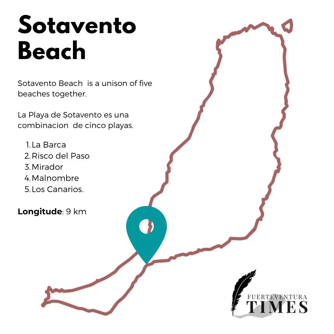 FuerteTimes's tweet photo. Voted as one of the Top 10 Beaches in the world by the @tripadvisor Traveller's Choice Awards 2022, this pristine 9 km stretch of golden sand and crystal clear waters is like a fairytale on a far off planet.

#fuerteventura #beach #articale https://t.co/PvwDuGRCVd