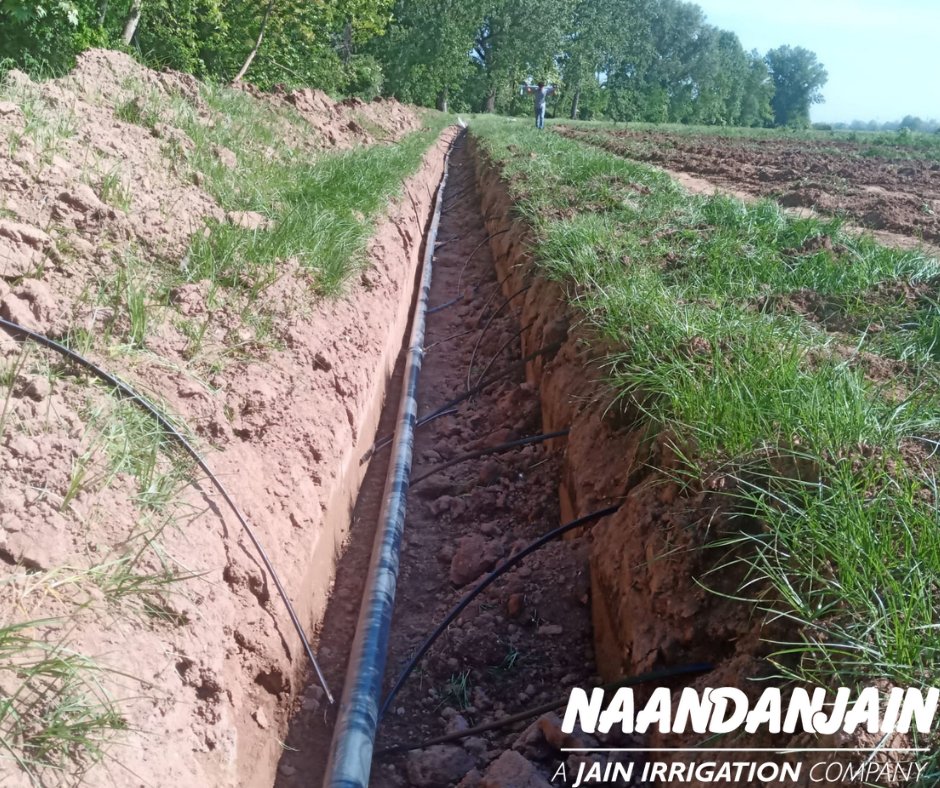 NaanDanJainES's tweet photo. 🔝💪Nueva instalación de #riegoporgoteo subterráneo (SDI) en el norte de Italia para tomate industrial.🍅Más info sobre #Topdrip en https://t.co/vh9z3kmjdj
#agriculture #solucionesderiego #agricultura #riego https://t.co/DJrM3bhwEx