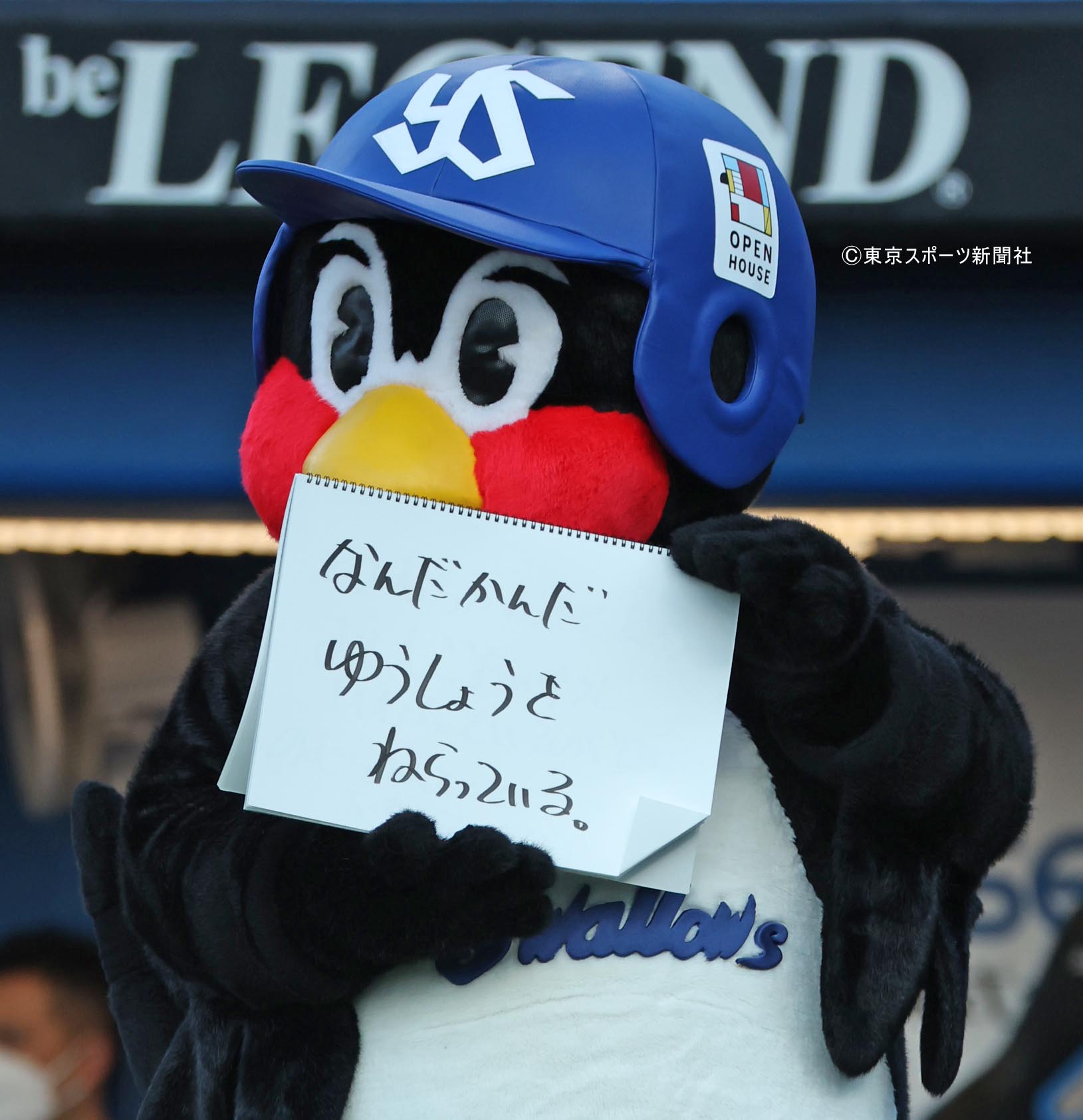 ジャイアンツ対ヤクルト戦 京セラドーム ネット裏席9月3日 野球