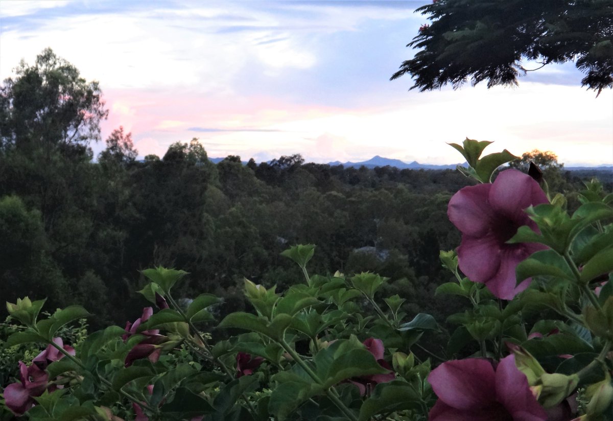 ArtyGlen's tweet photo. #Brisbane briefly - very briefly - I saw blue skies - and then it rained again :( #Pullenvale https://t.co/OkPnkGkNO0
