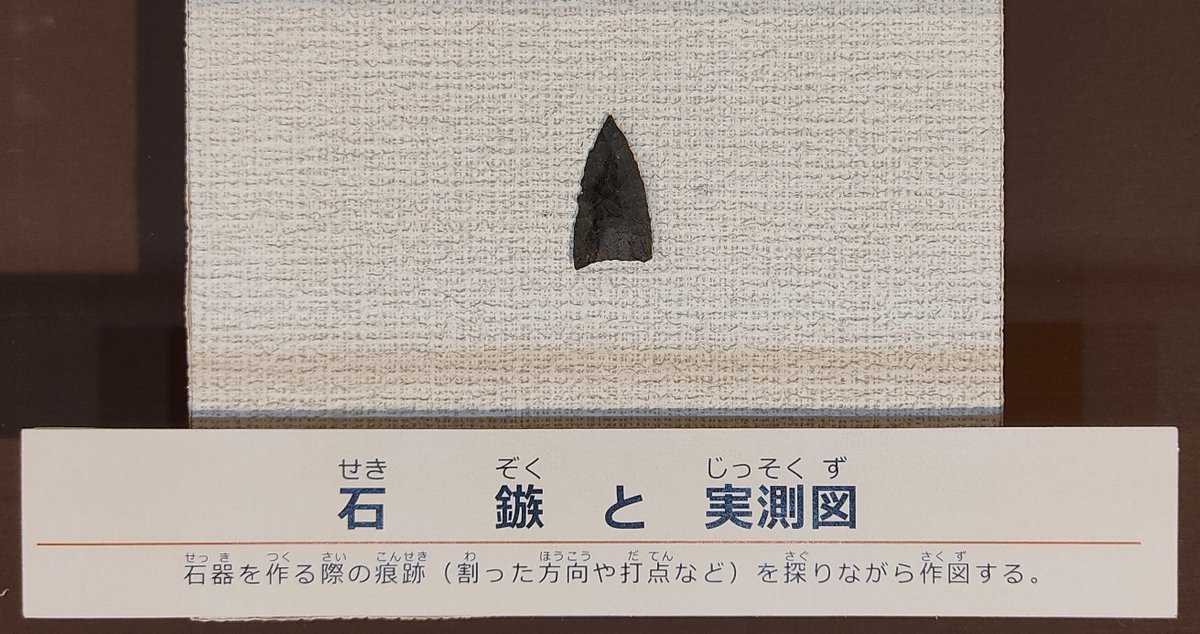 実測図】 村上市・上野遺跡から出土した「石鏃（せきぞく）」（＝石で