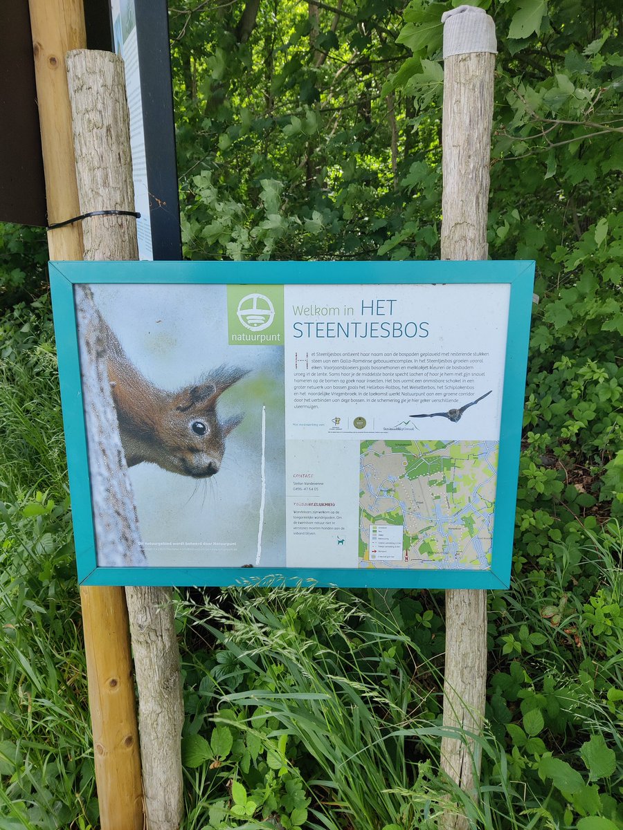 Batterijtjes opladen #hiking