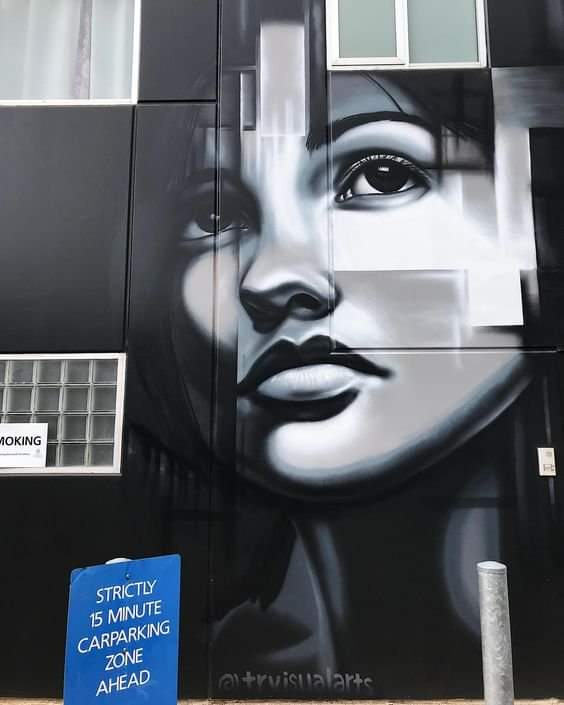 PatrickFavrel's tweet photo. #StreetArt in #Australia Thomas Readett alias #trvisualarts _ Prospect, Adélaïde https://t.co/BXfKFz2oKX