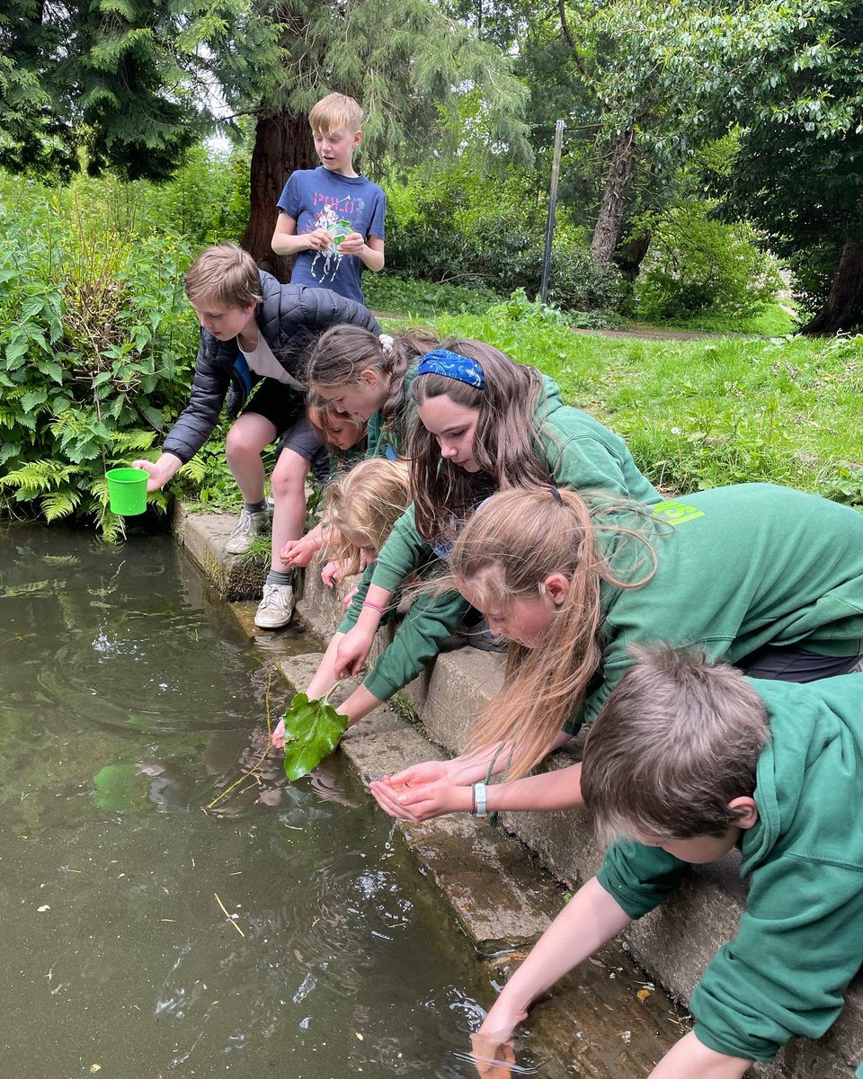 Earth Calling tweet media