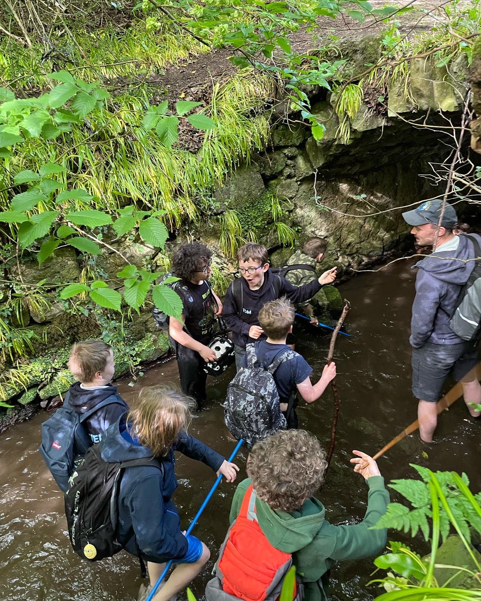 Earth Calling tweet media