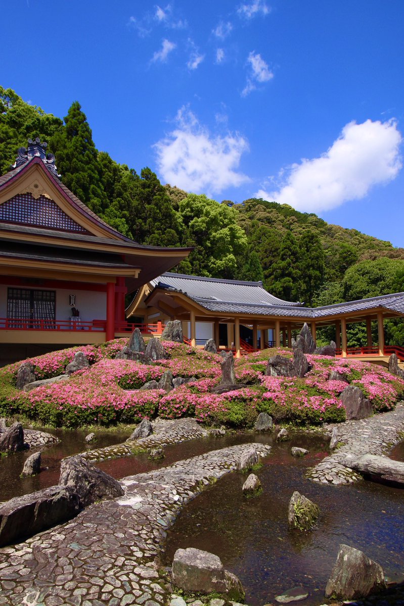 chitaka45's tweet photo. 松尾大社

Matsuo Taisha 
#kyoto #Japan #shrine #京都　#松尾大社 #そうだ京都行こう https://t.co/rzxfb9ZgDs