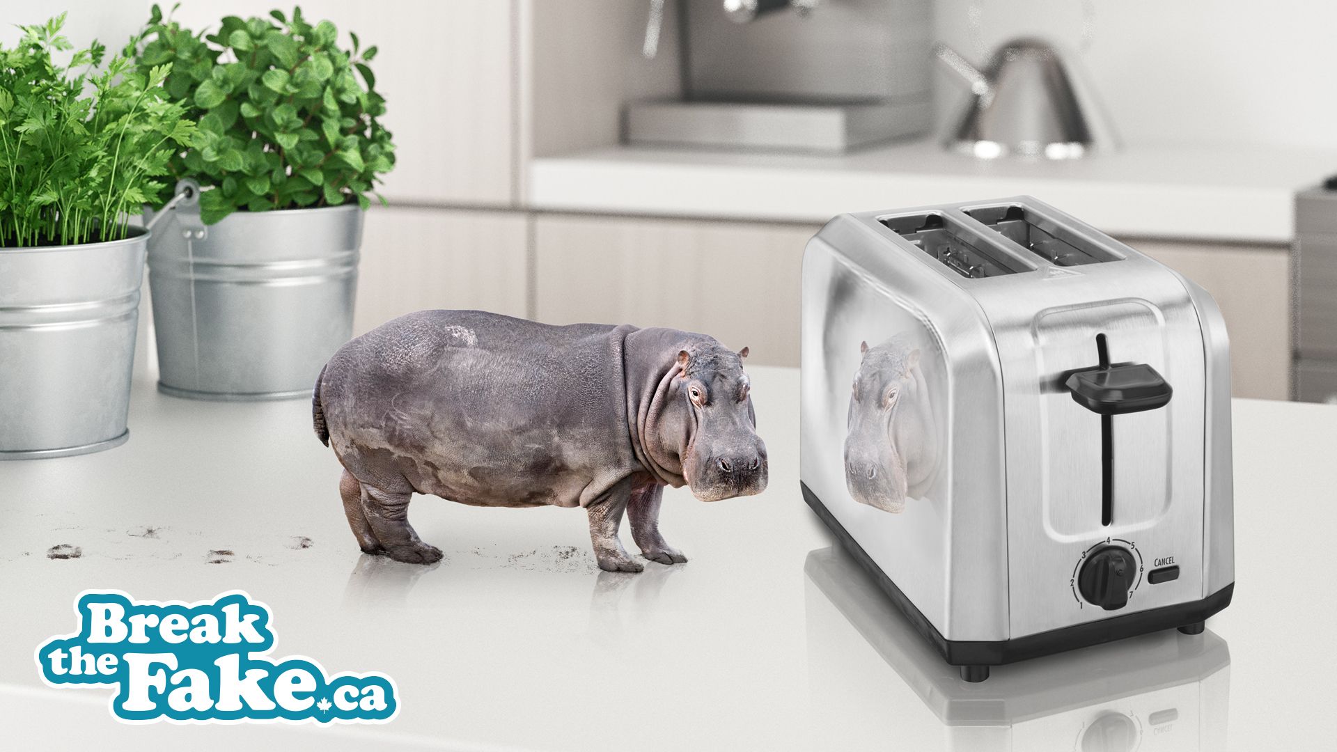 MediaSmarts on Twitter "Whether you're in the classroom or learning from home, use this plug