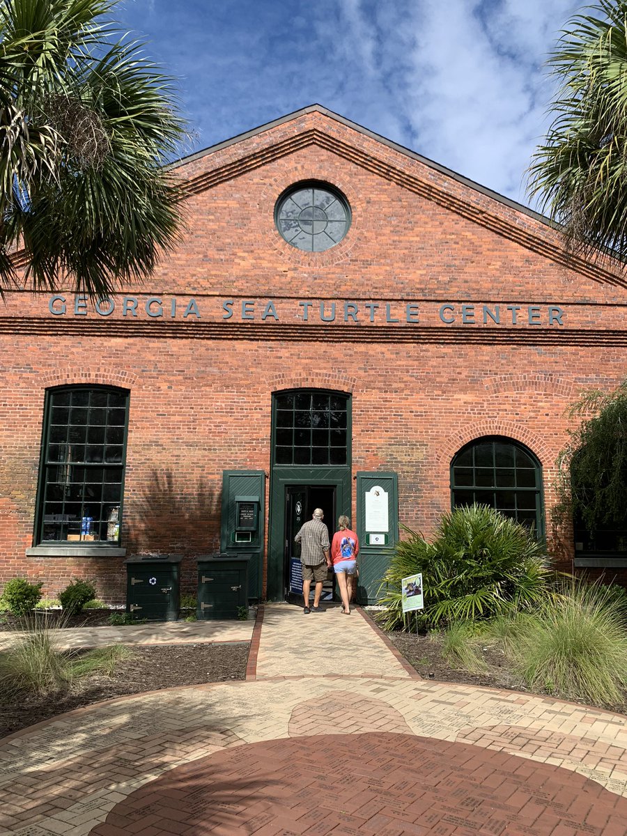 mmrownd's tweet photo. I’ve kept in touch with my class since I retired in December. Mr. Gillham allowed me to visit my former virtual 2nd grade class many times. We read books about the coast, had sharing sessions, &amp; even a live field trip to Jekyll Island Turtle Hospital. #pitnerpride ❤️ https://t.co/zhCv1qJwIW