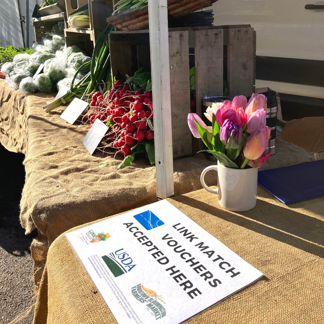 Shopping with Link/EBT?? At the Downtown Bloomington Farmers' Market we can help double your purchases up to $25 per transaction! 
Have questions about our program? We have the answers for you over at the red information booth at the market this Saturday!