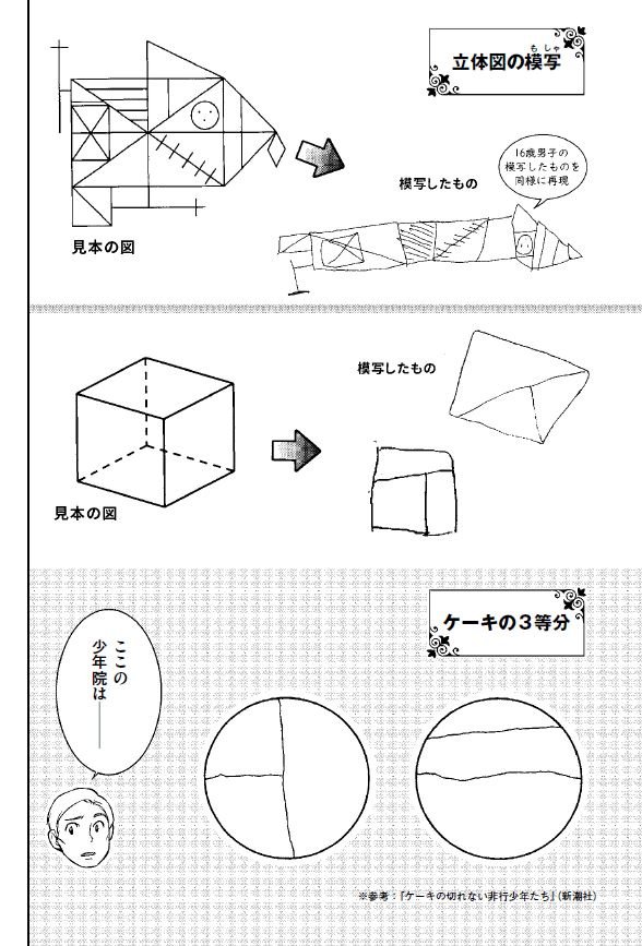 경계선 지능인 소년에게 케이크를 똑같이 자르게 하거나 왼쪽 그림을 모사해보라 시키면 이런 결과가 나오나본데 뭔가... 공간파악능력? 같은것도 많이 떨어지는걸까 