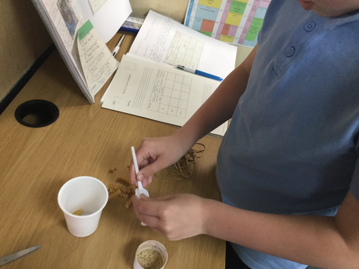 STC_1CF's tweet photo. Learning about adaptation with an experiment about Darwin’s finches 🐦 https://t.co/LYaXhHYEky