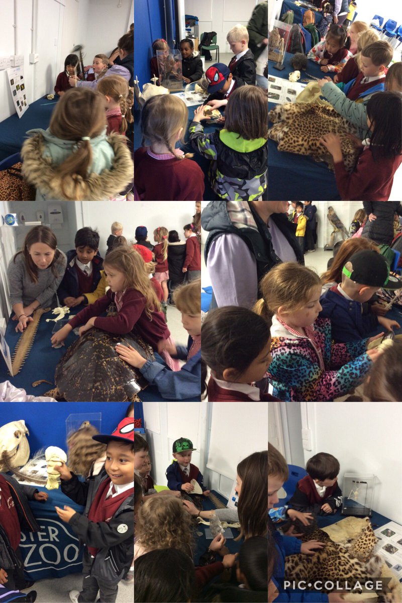 TyntesfieldSL tweet media