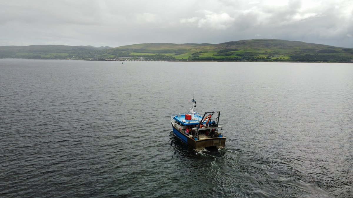 Amy Evans tweet media