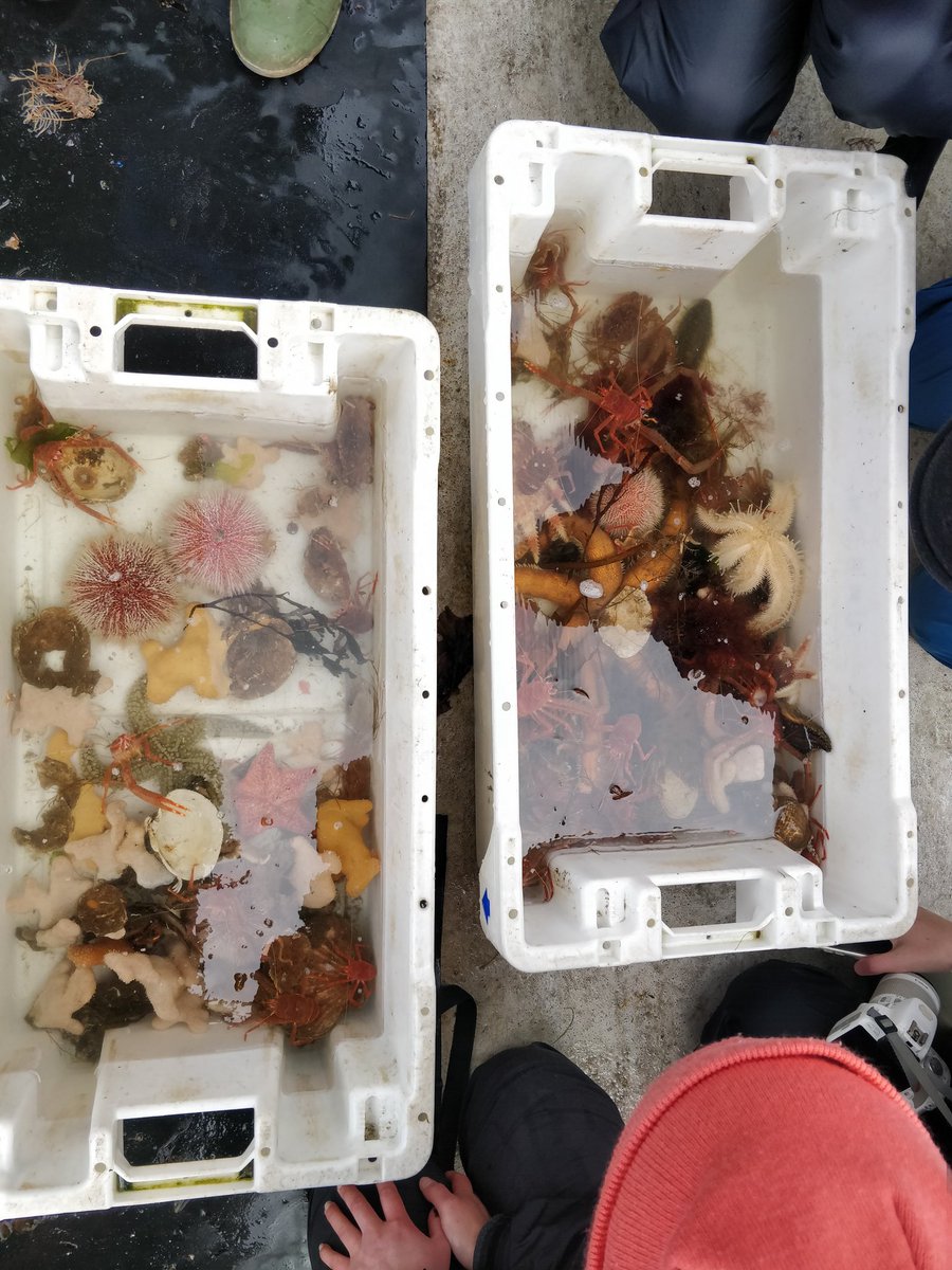 Amy Evans tweet media