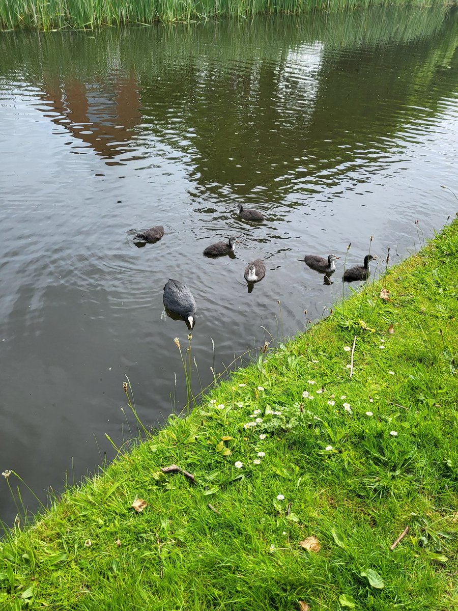 @TheL21Network tweet media